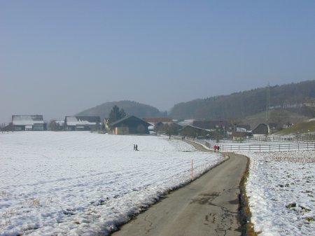 Nussbaumen