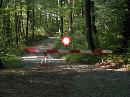 Wald