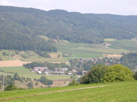 Eschenmosen
