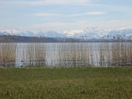 Greifensee