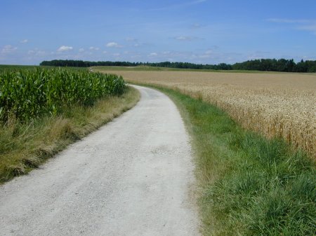 Landepiste