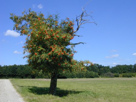 Landepiste