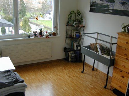 Puffzimmer Leer