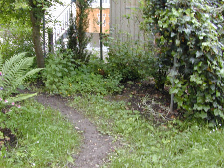 Wald