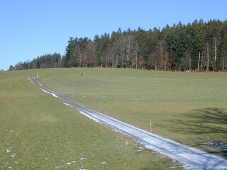 Ballenbühl