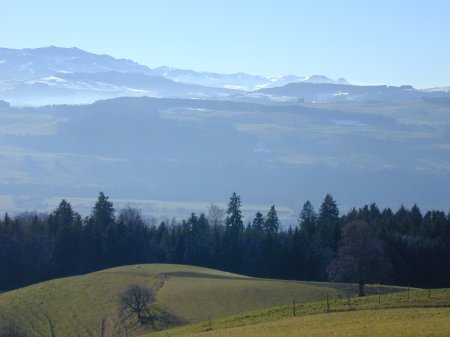 Belpberg