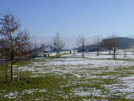 Belpberg