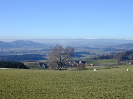 Bern