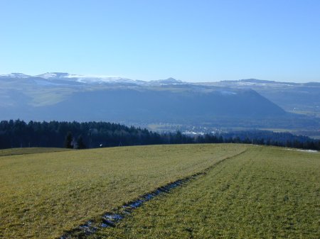Münsingen
