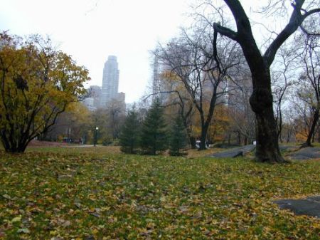 Central Park