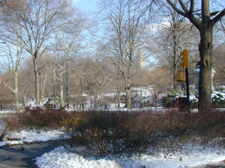 Centralpark