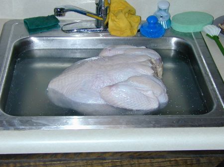 Turkey