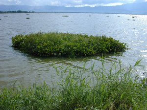 Phayao