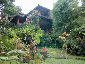 Ubud